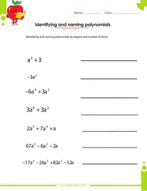 identifying and naming polynomials worksheet, monomials, binomials, trionomials, quartic, quintic, polynomials 